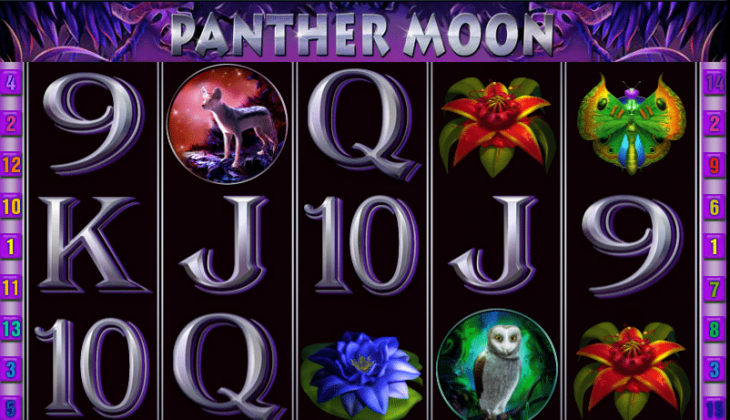 Panther Moon Slot Game