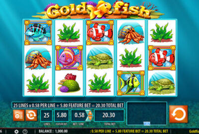 Gold Fish