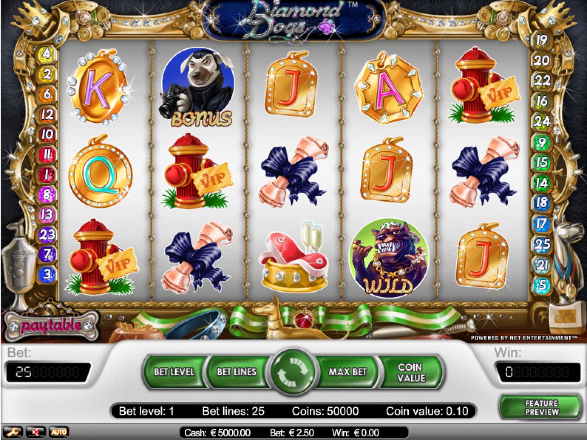 Diamond Dogs video slot game screenshot