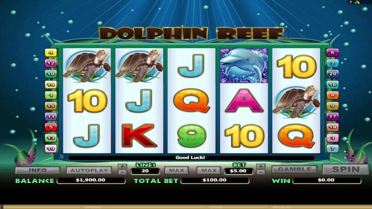 Dolphin Reef video slot game screenshot