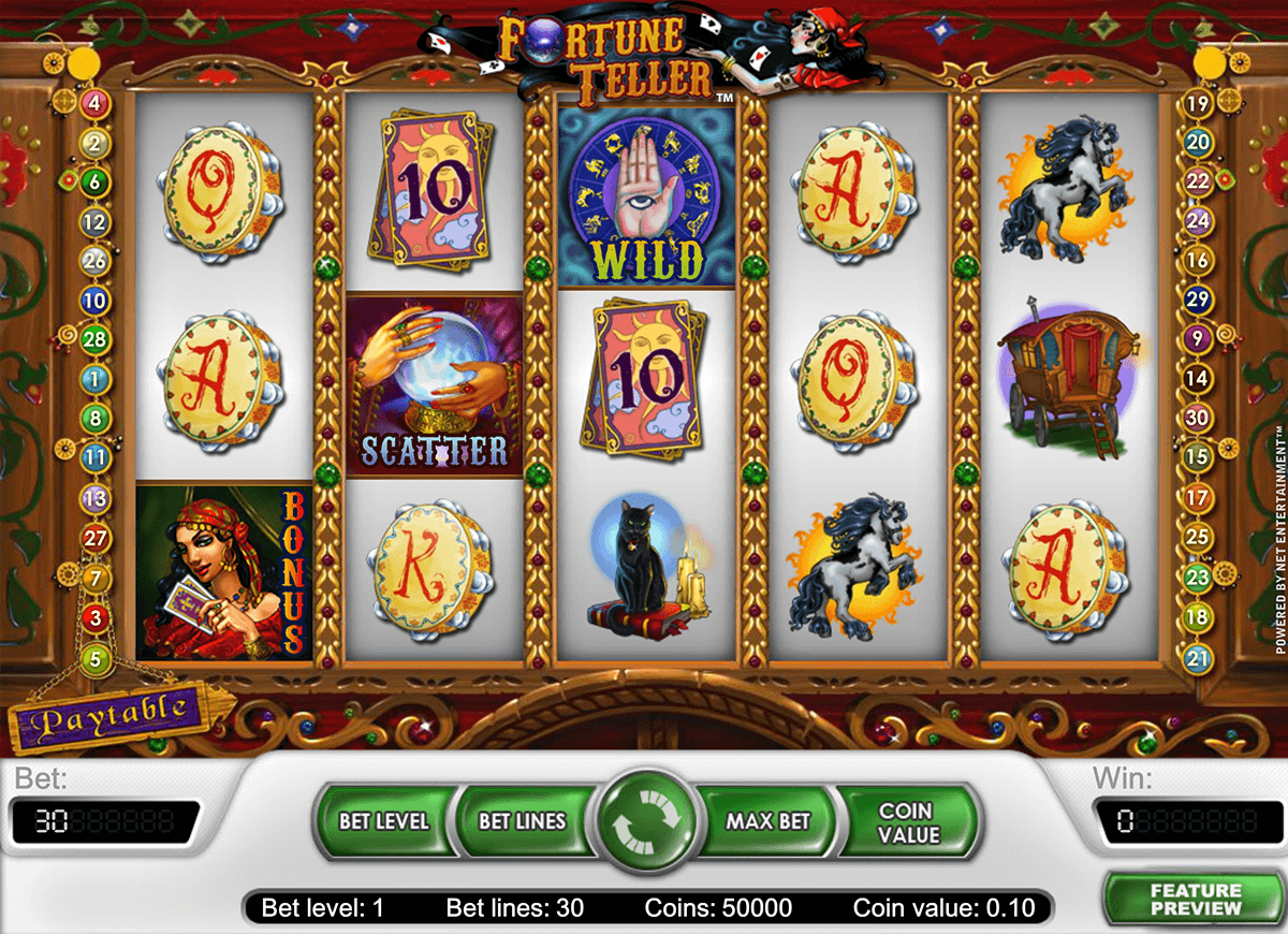 Fortune Teller video slot game screenshot