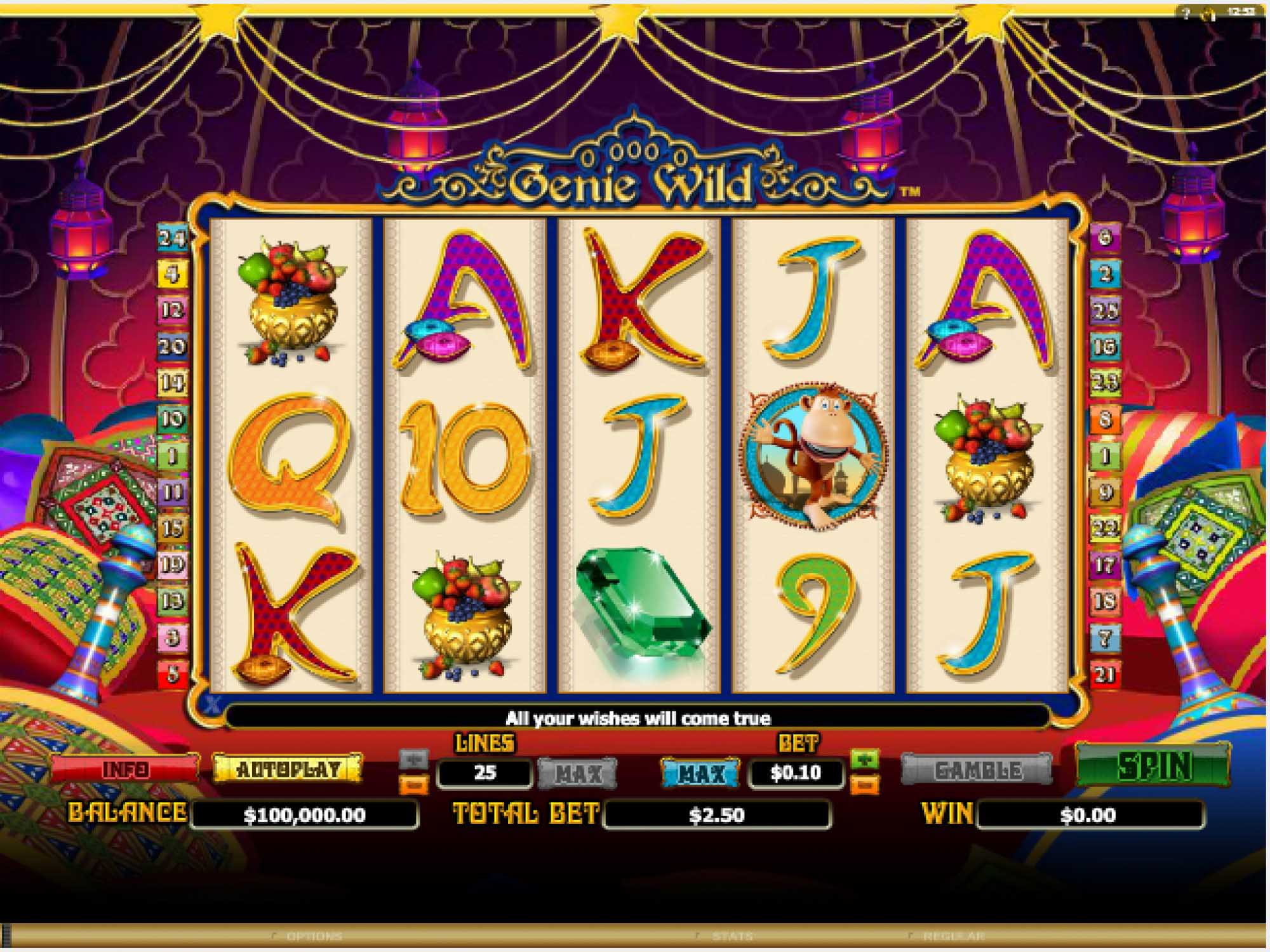 Genie Wild video slot game screenshot